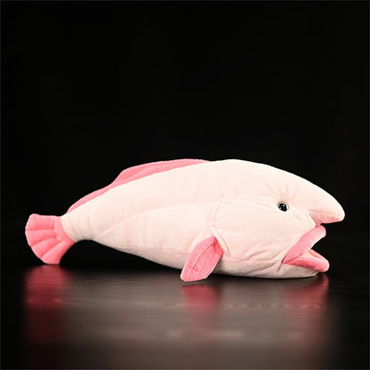 Blobfish!