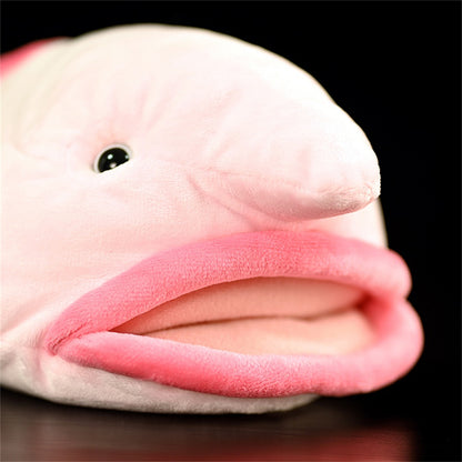 Blobfish!