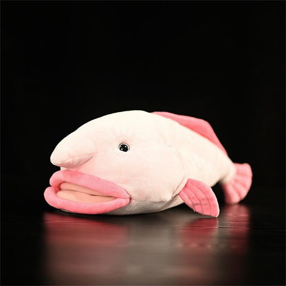 Blobfish!